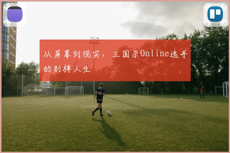 从屏幕到现实，三国杀Online选手的别样人生