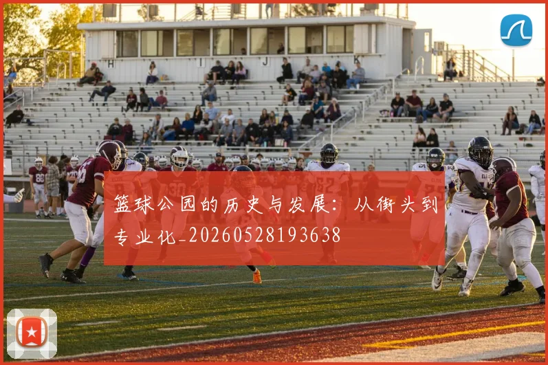 篮球公园的历史与发展：从街头到专业化_20260528193638