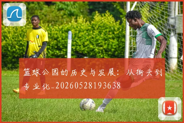 篮球公园的历史与发展：从街头到专业化_20260528193638